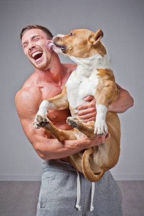 petlover
